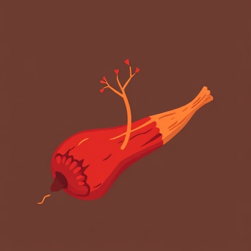Maca merah